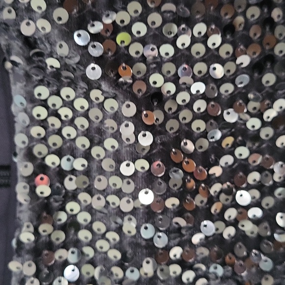 Elisa J women's sequin velvet sheath dress jewelry neck cap size 12 P or L grey - Picture 6 of 8